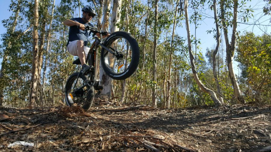 A man riding a mountain bike in the woods.